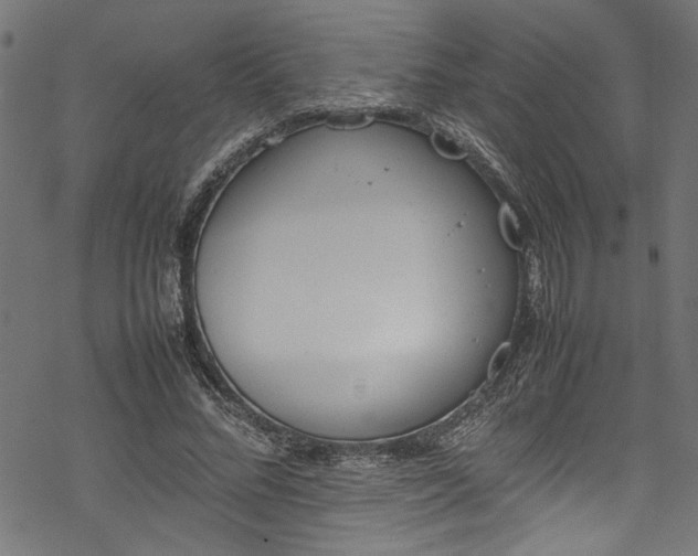 X0000070210684200605301403