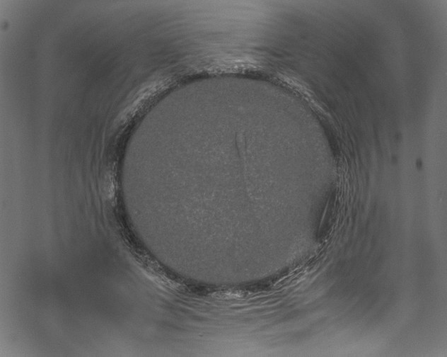 X0000070210687200605301403