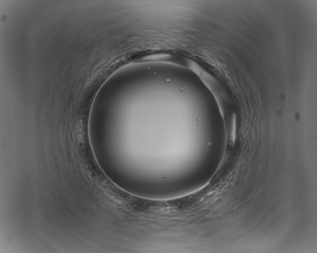 X0000070210689200605301403