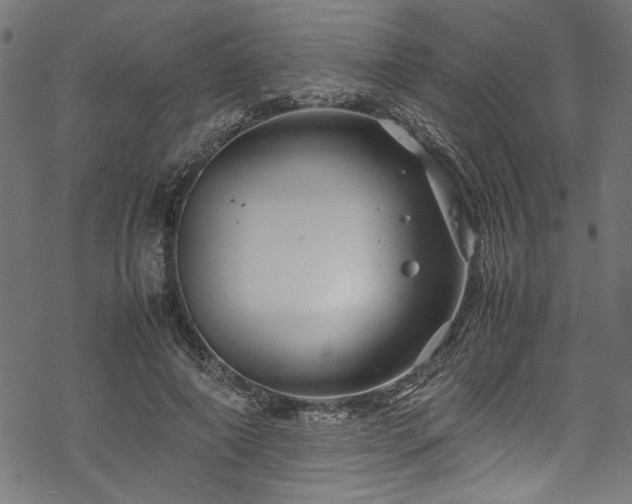 X0000070210690200605301403