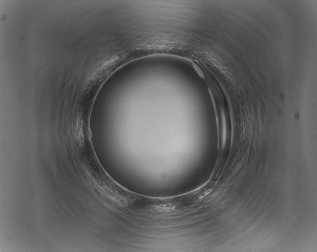 X0000070210692200605301403