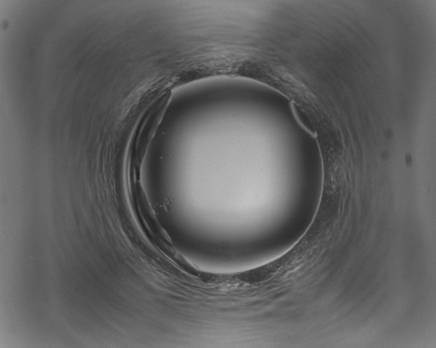 X0000070210693200605301403