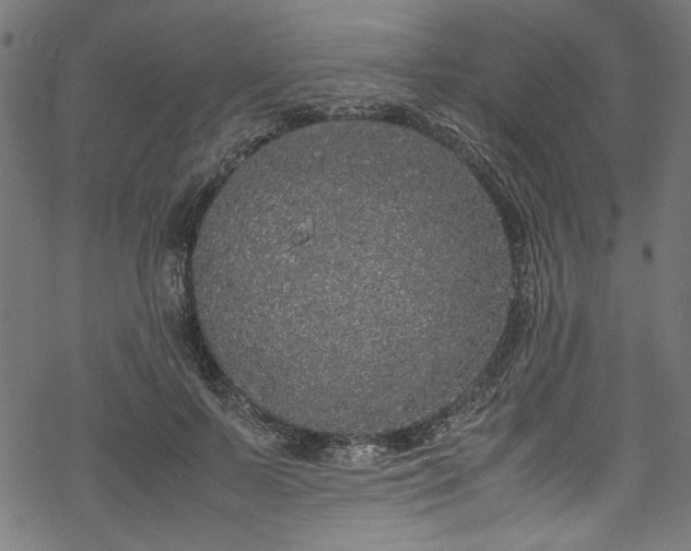 X0000070210695200605301403