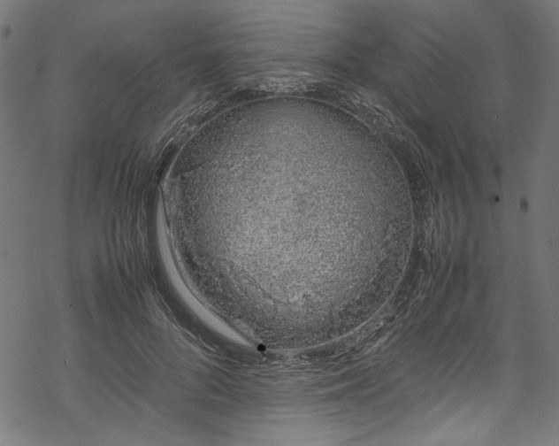 X0000070210696200605301403