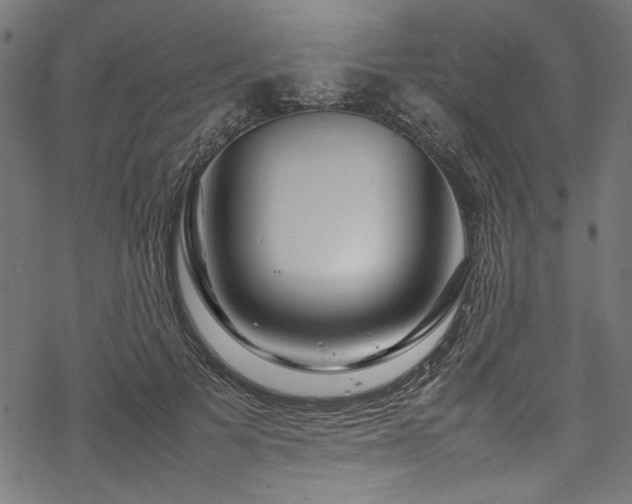 X0000070210697200605301403