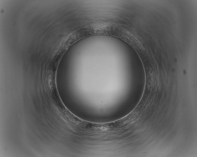 X0000070210698200605301403