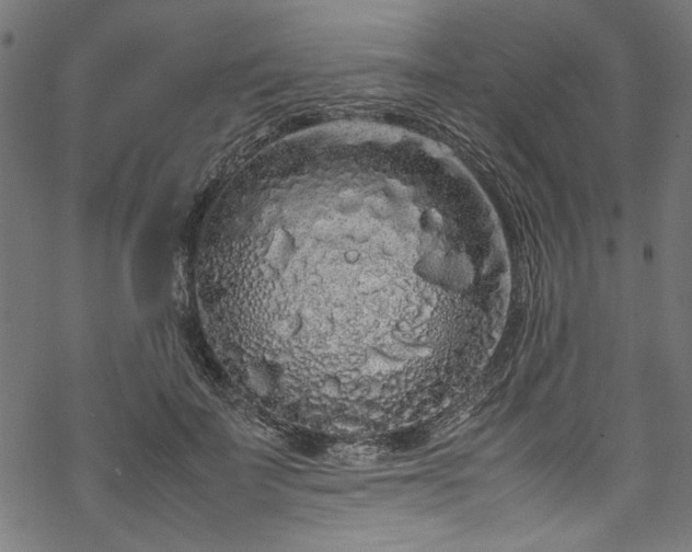 X0000070210699200605301403