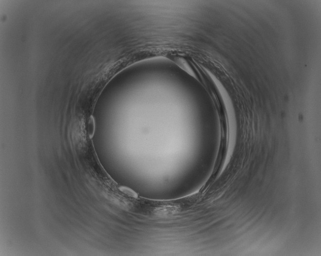 X0000070210700200605301403