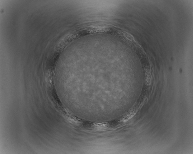 X0000070210701200605301403