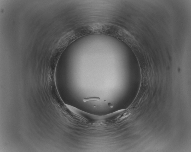 X0000070210702200605301403