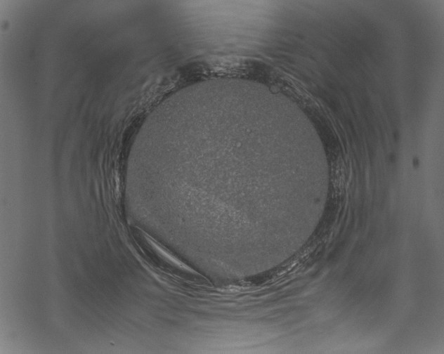 X0000070210703200605301403