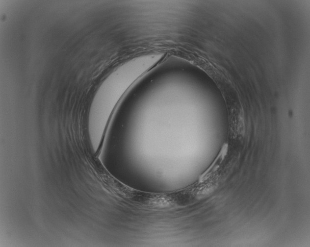 X0000070210704200605301402