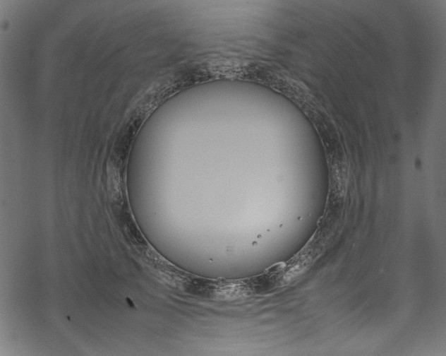 X0000070210705200605301402