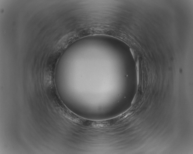 X0000070210706200605301402