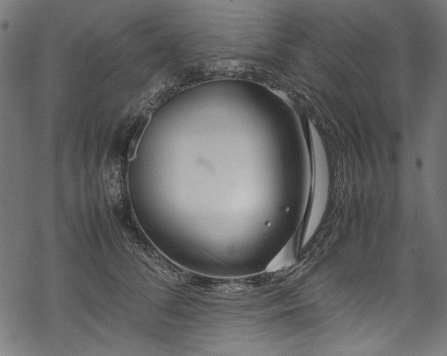 X0000070210708200605301402