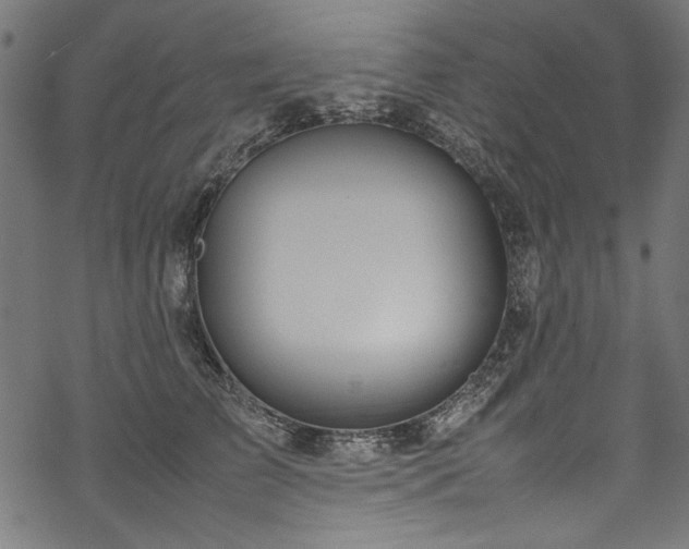 X0000070210709200605301402