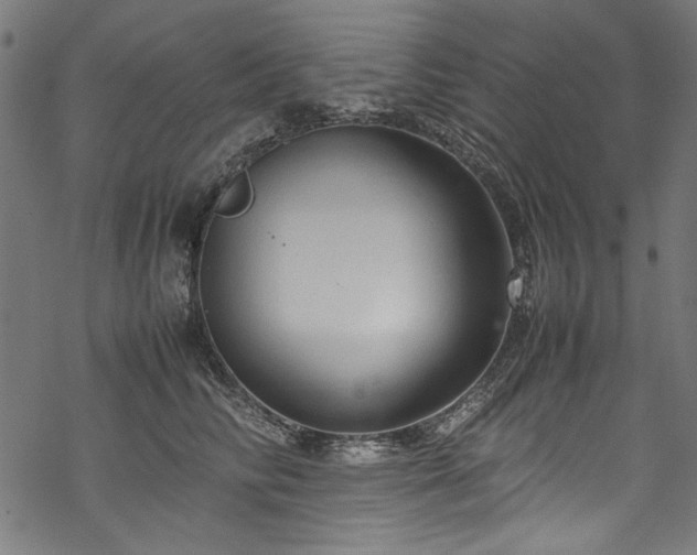 X0000070210710200605301402