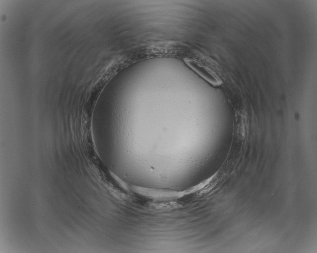 X0000070210712200605301402