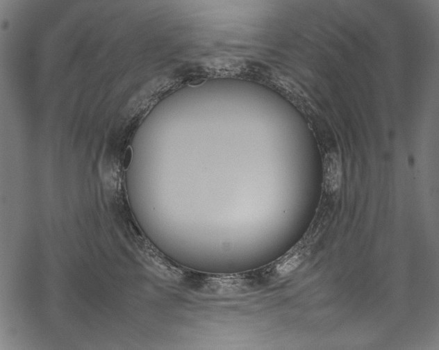 X0000070210713200605301402