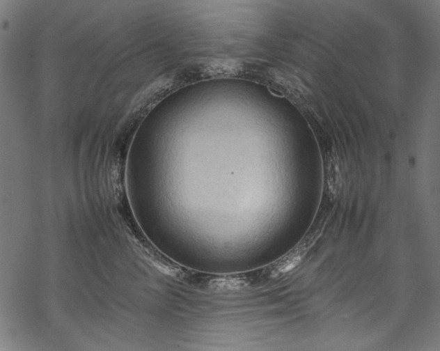 X0000070210714200605301402