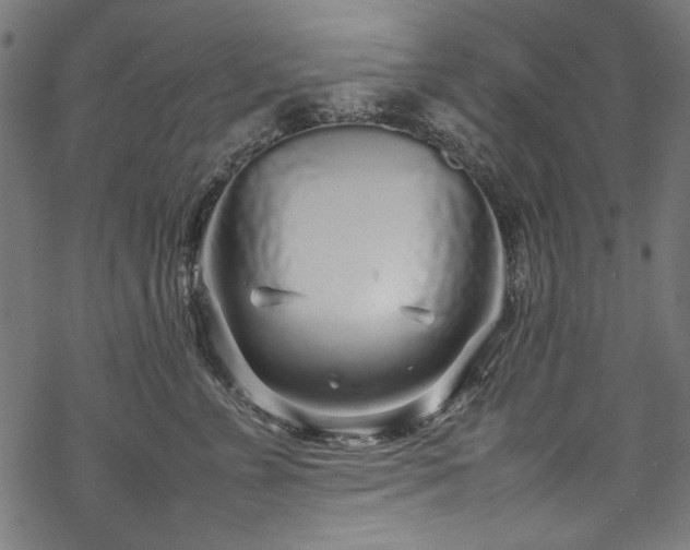 X0000070210715200605301402