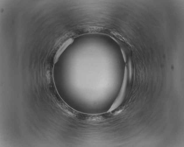 X0000070210716200605301402