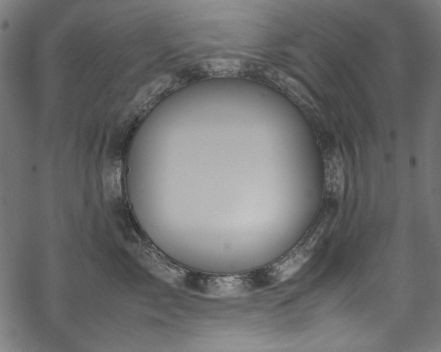 X0000070210717200605301402