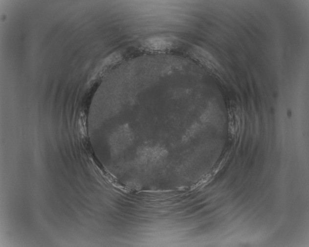 X0000070210718200605301402