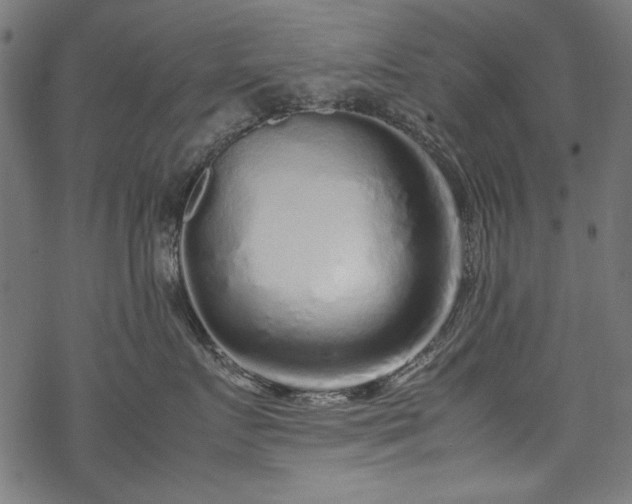 X0000070210719200605301402