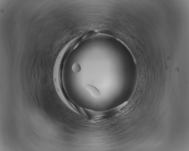 X0000070210720200605301402