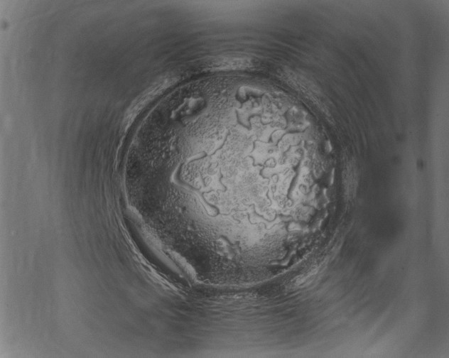 X0000070210721200605301401