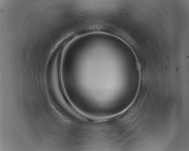 X0000070210722200605301401