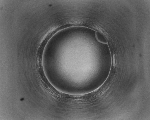 X0000070210723200605301401