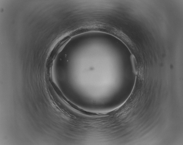 X0000070210724200605301401