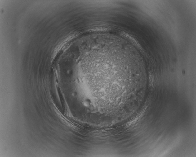 X0000070210725200605301401