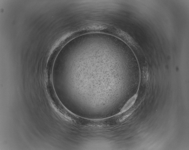 X0000070210726200605301402