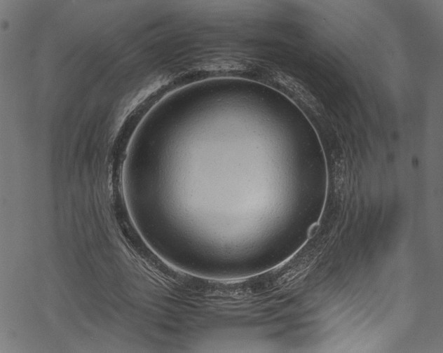 X0000070210727200605301402