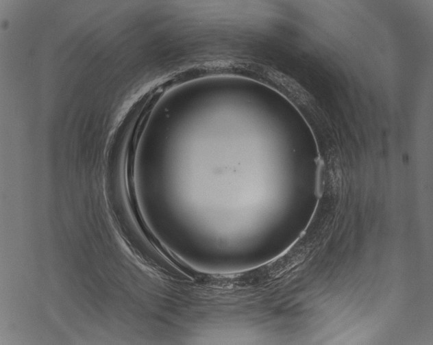 X0000070210728200605301402