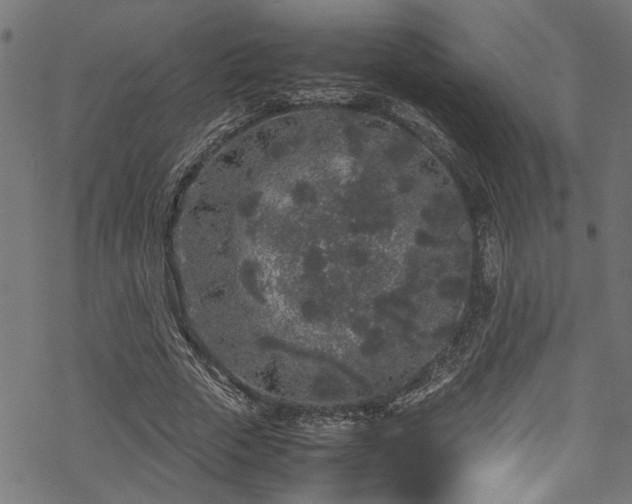 X0000070210729200605301402