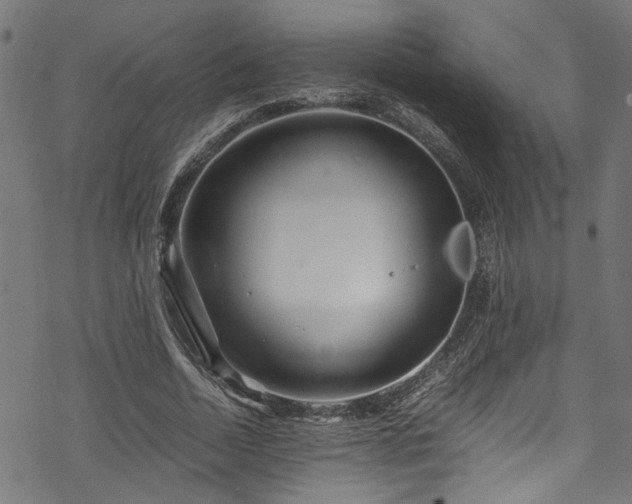 X0000070210730200605301402