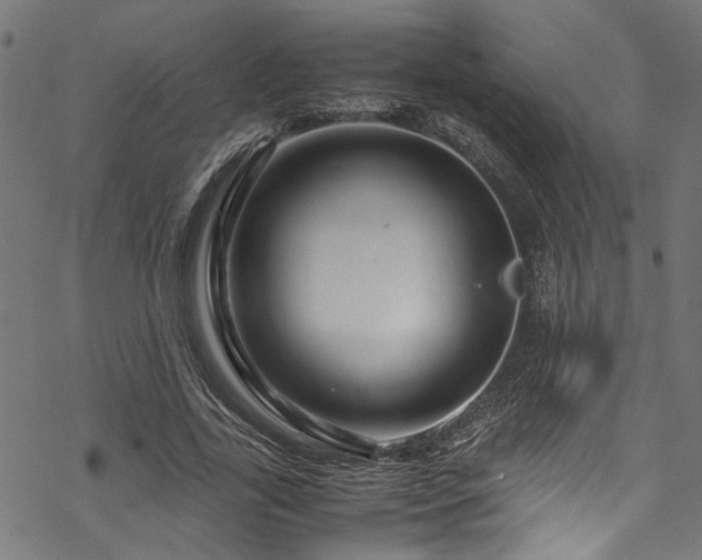 X0000070210731200605301402