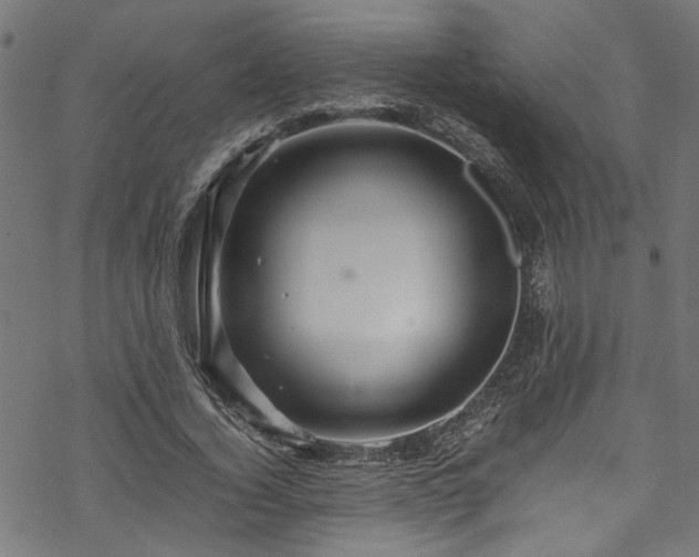 X0000070210732200605301402