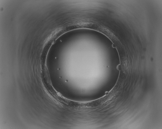 X0000070210734200605301402