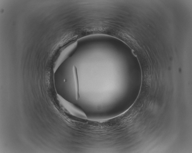 X0000070210735200605301402