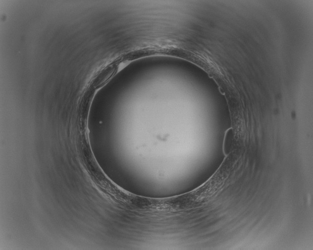 X0000070210736200605301402