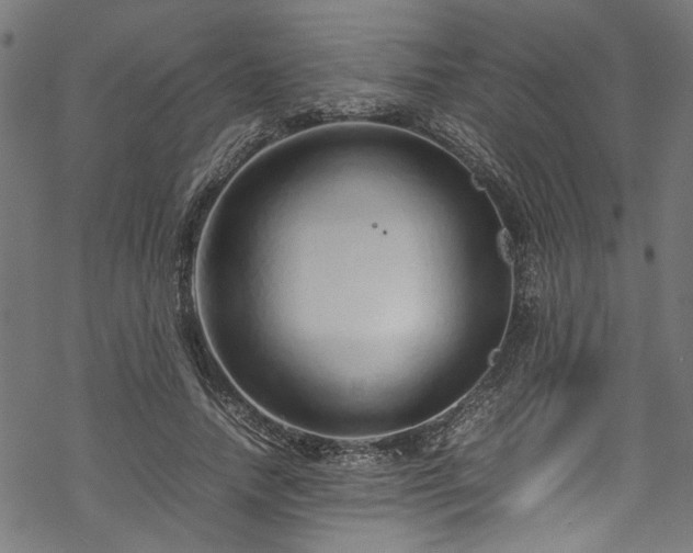 X0000070210738200605301402