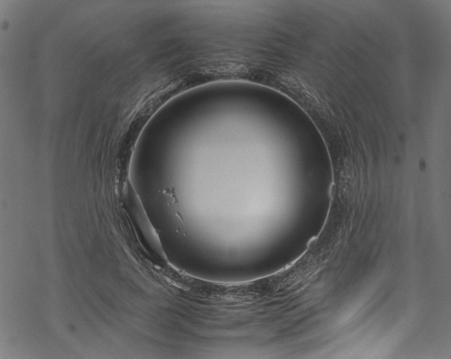 X0000070210739200605301402