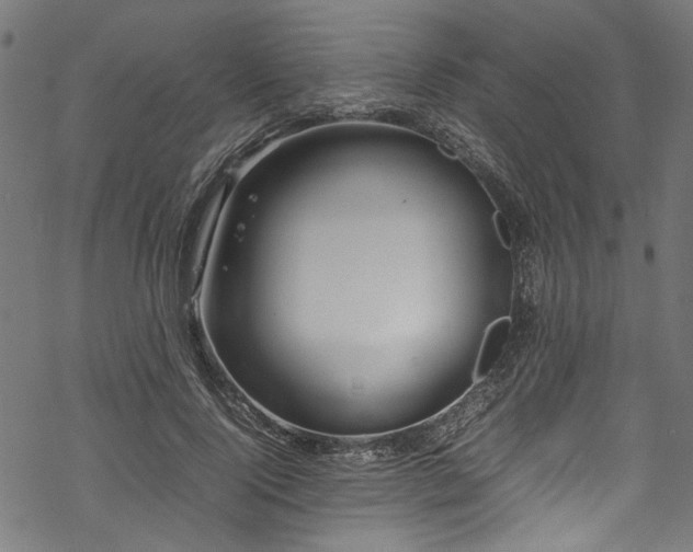 X0000070210740200605301402