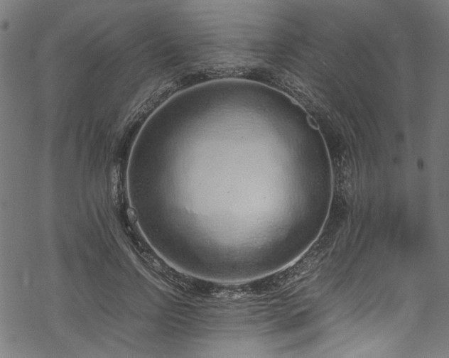 X0000070210742200605301402