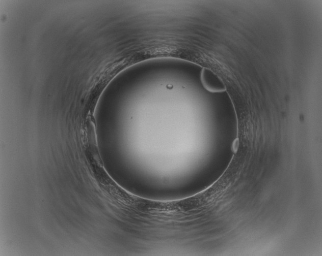 X0000070210743200605301402